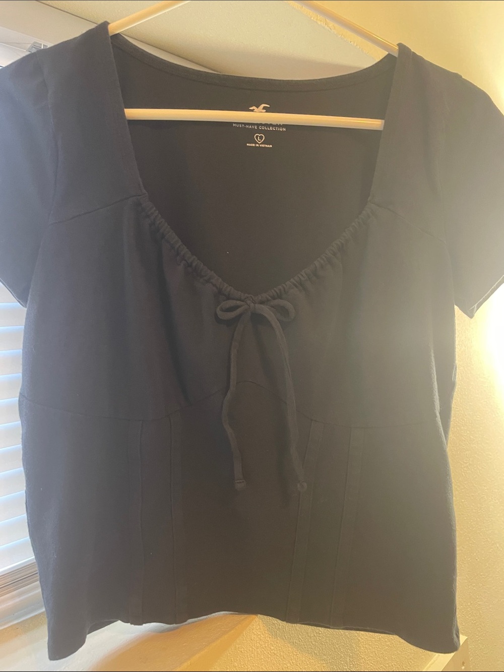 Hollister Tie-Front Bodice Crop Top (L)